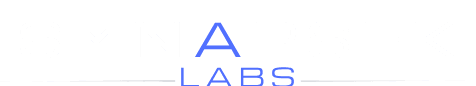 Synapsek Labs